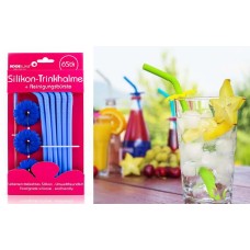 Trinkhalme 6er Set + Bürste 